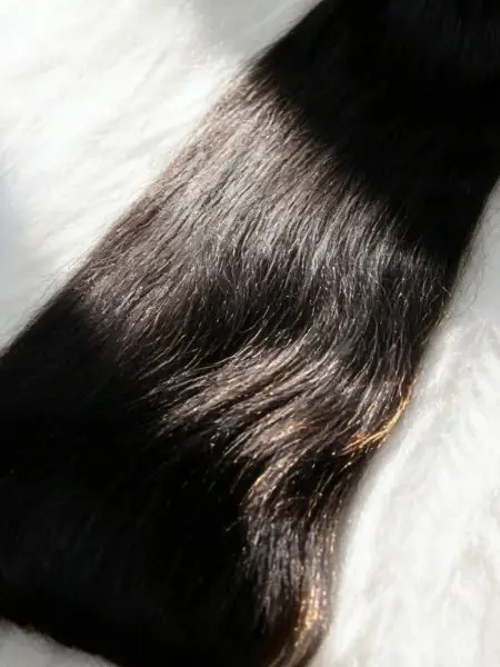 Indiano